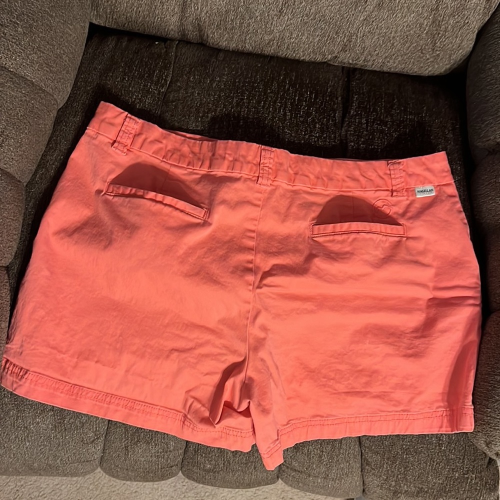 Shorts - Picture 2 of 5